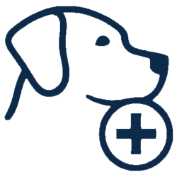 Assistenzhunde Hamburg